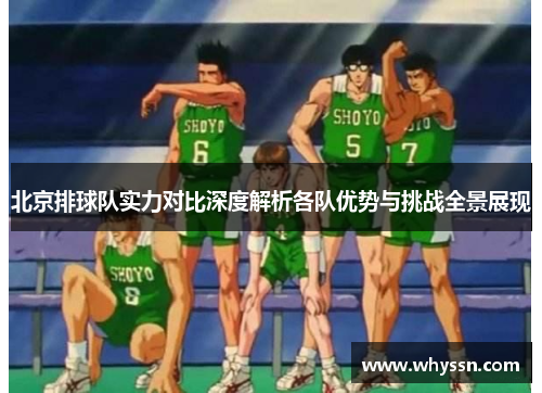 北京排球队实力对比深度解析各队优势与挑战全景展现