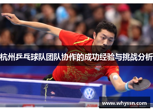 杭州乒乓球队团队协作的成功经验与挑战分析
